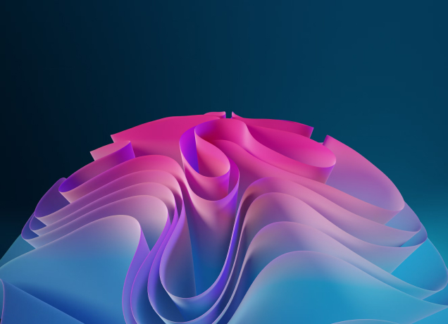 6752e9f21a2d7.jpg